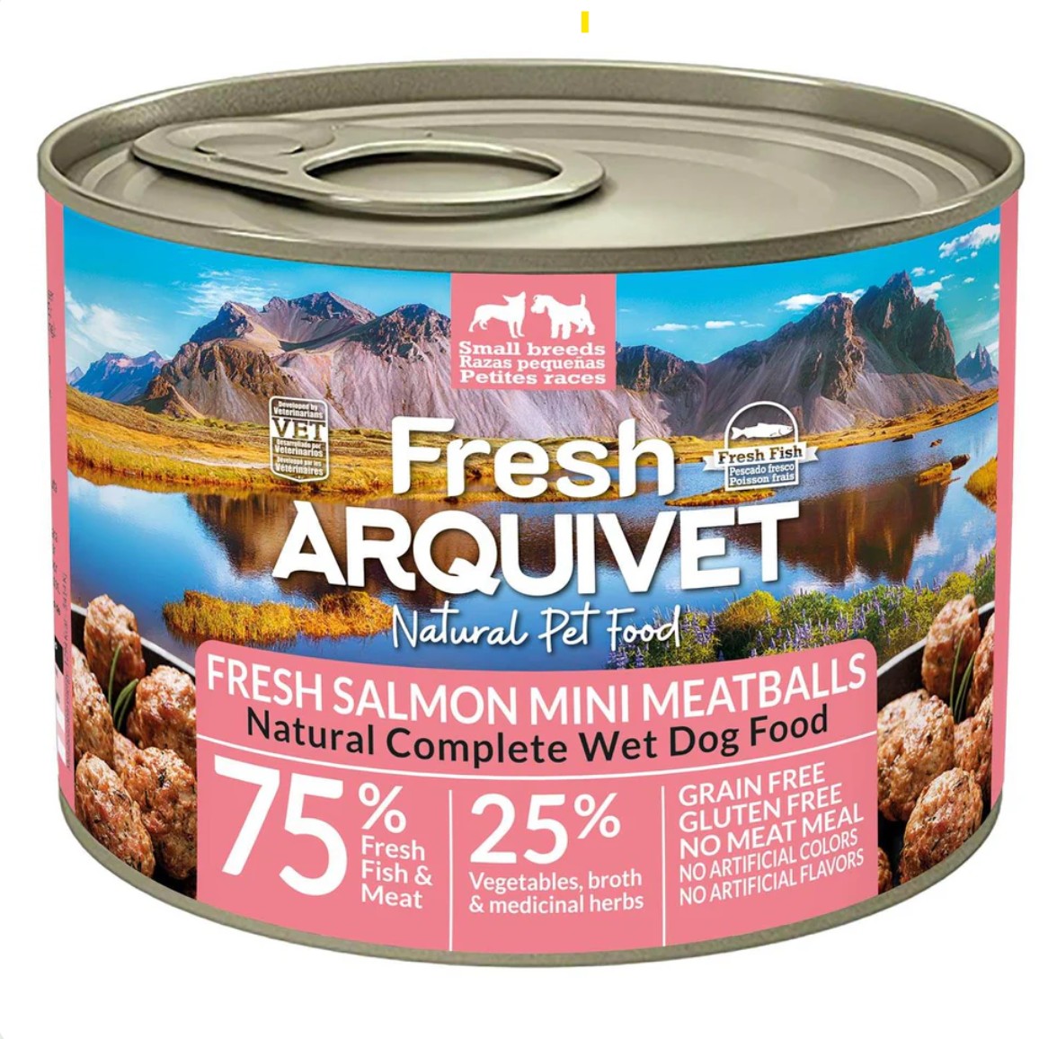 Mini Meatballs with Salmon